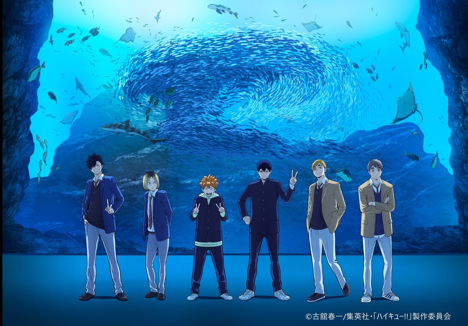 【仙台うみの杜水族館】『ハイキュー!!アクアリウムキャラバン!!～横浜・上越・仙台～』【２０２５年５月３１日（土）〜６月３０日（月）】